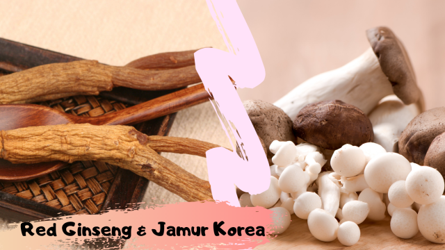 Ginseng Merah Korea Selatan & Jamur.