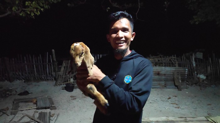 Cerita Persahabatan Kambing dan Manusia di Pulau