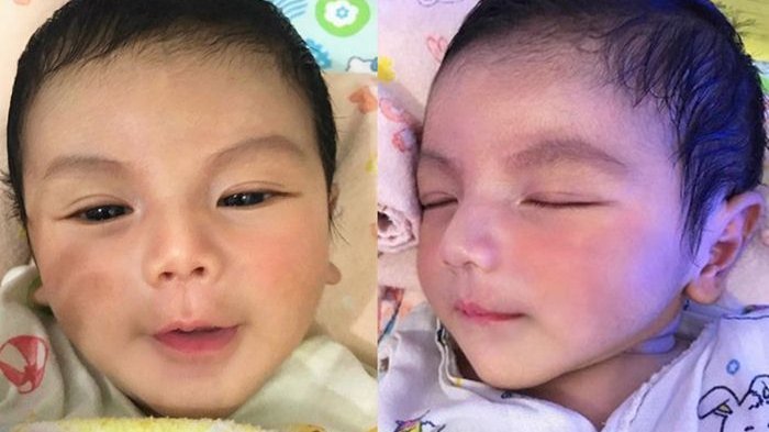 VIRAL BAYI LUCU BERPARAS TAMPAN